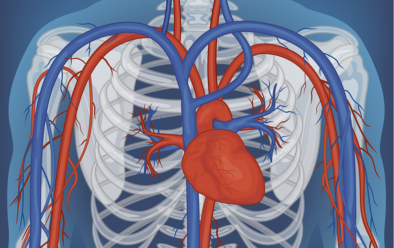 heart valve disease treatment in dubai - أمراض صمامات القلب