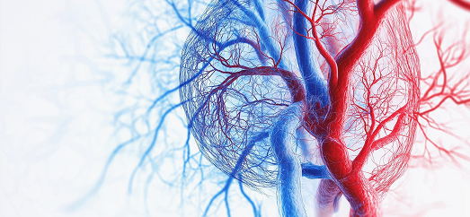 heart valve disease treatment in dubai, Valvular Heart Disease