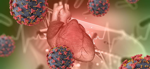 أمراض القلب الالتهابية والعدوى القلبية 2 types of inflammatory heart disease, inflammatory heart disease