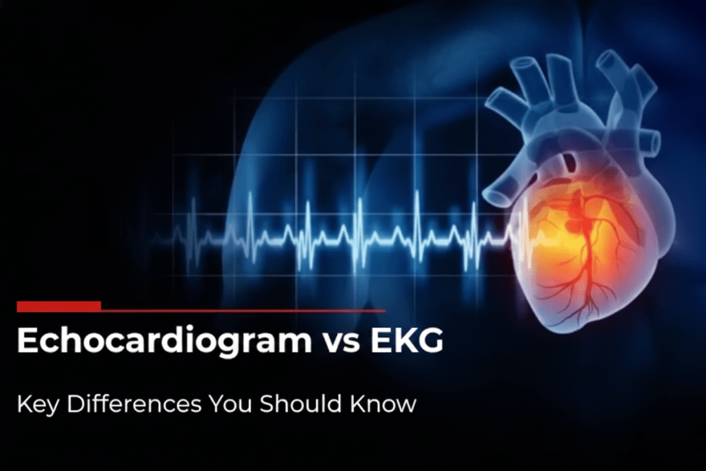 echocardiogram vs ekg, echocardiogram vs ecg ekg vs echo ecg vs echocardiogram difference between ekg and echocardiogram