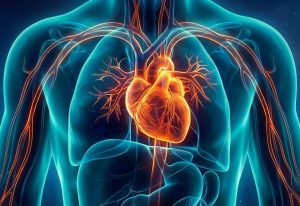 what is stage 3 congestive heart failure, what is stage 2 heart failure, what is stage C heart failure, what is stage D heart failure